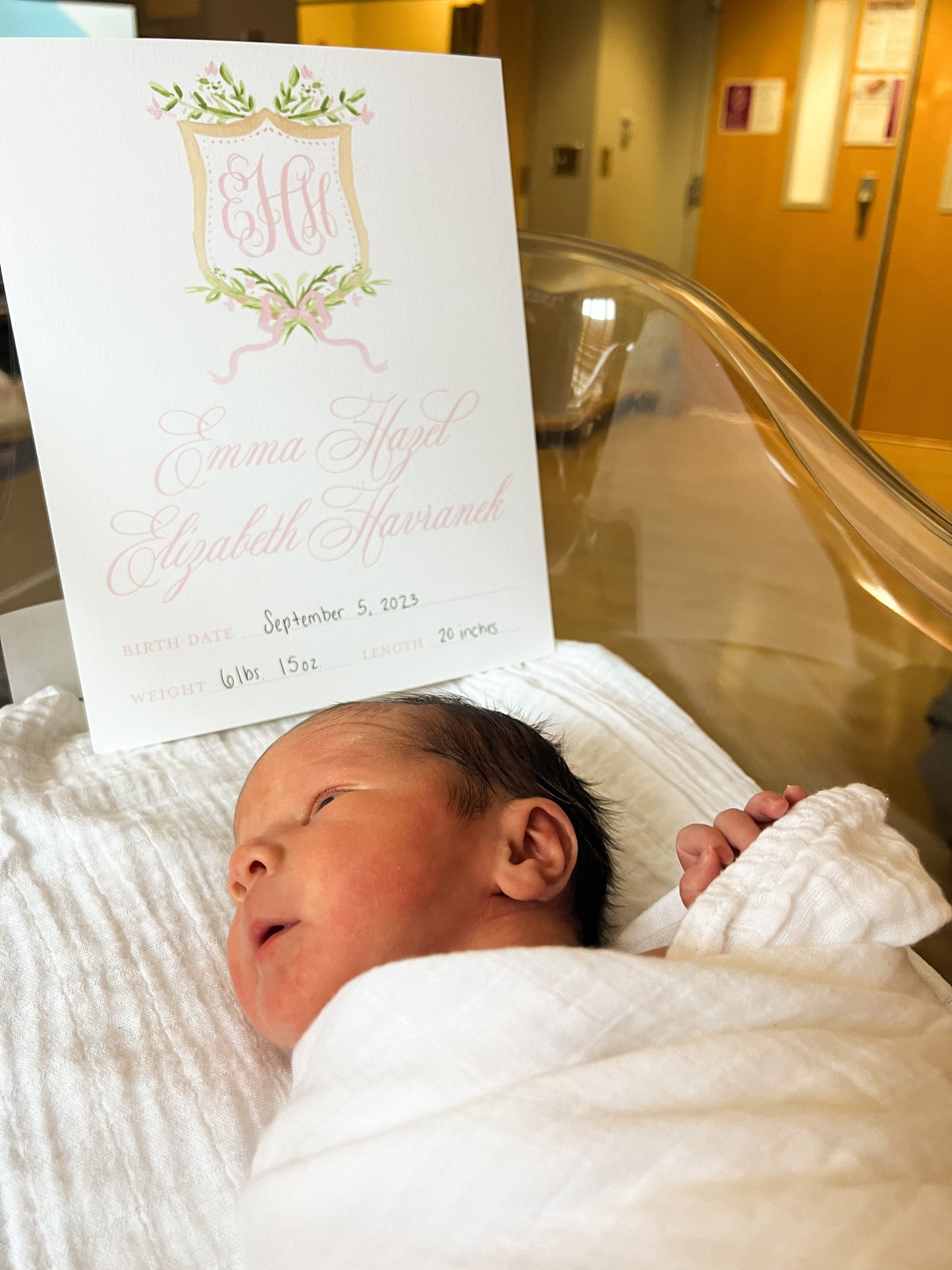 Baby Bassinet Sign