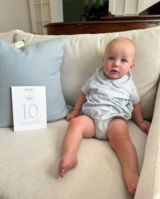 Watercolor Blue Floral Crest Milestone set