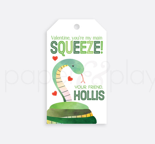 24 Printed Snake Valentine Tags